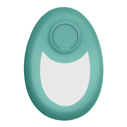 Reusable Crystal Hair Smoothing Tool